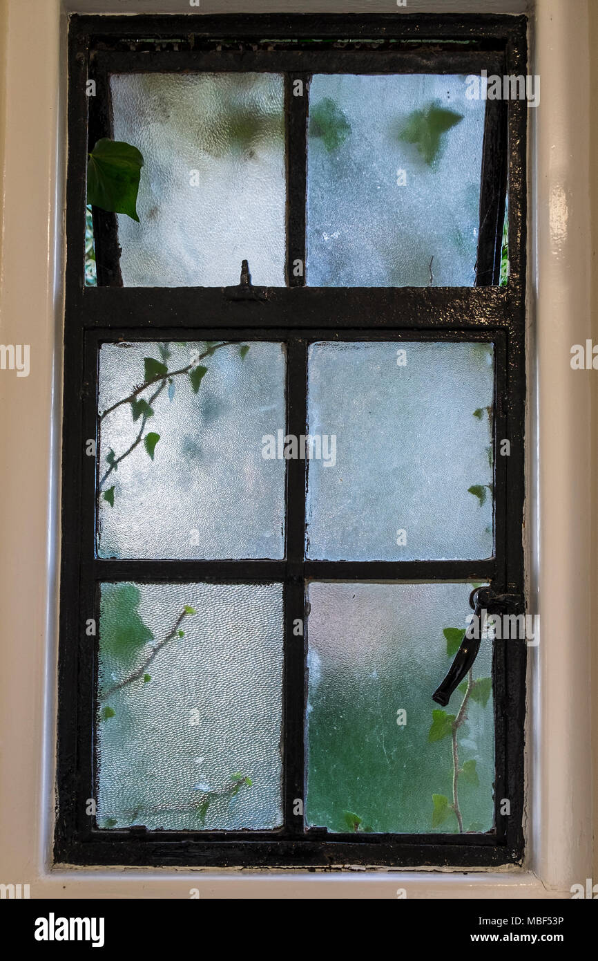 Vecchio Crittall finestra con vetro smerigliato ed edera che cresce su in  un pubblico convenienza Foto stock - Alamy