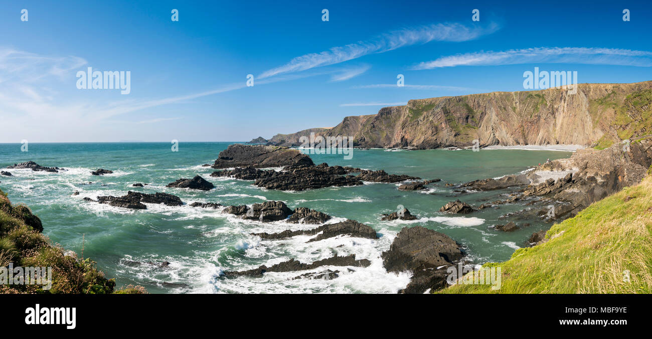 La caletta rocciosa a Hartland Quay, Devon, Inghilterra in estate Foto Stock