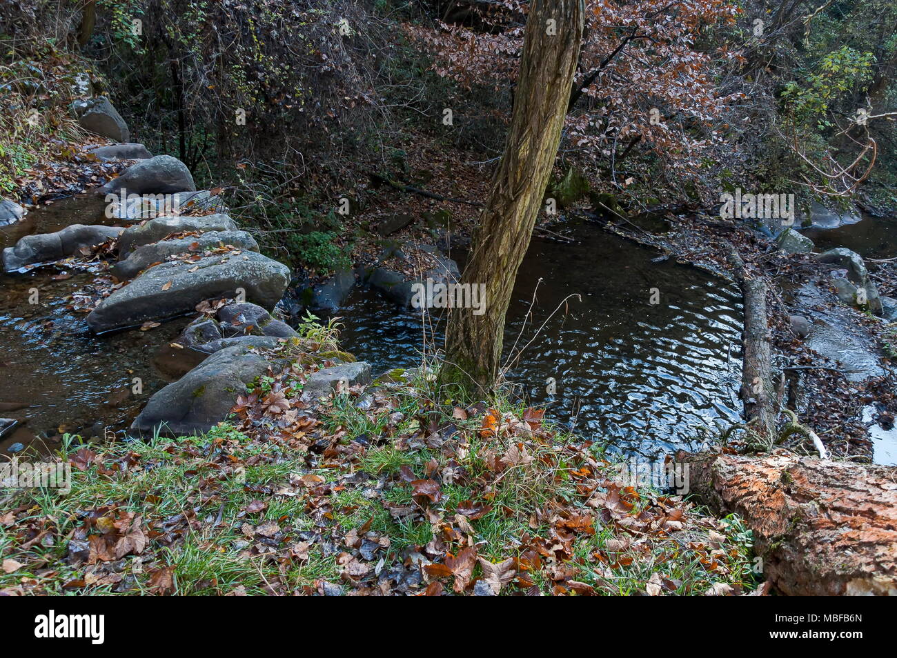 Vista della foresta autunnale e il fiume Lokorska in montagna balcanica, vicino villaggio Lokorsko, Bulgaria Foto Stock