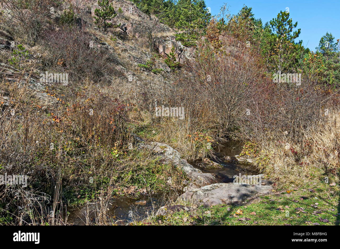 Vista della foresta autunnale e il fiume Lokorska in montagna balcanica, vicino villaggio Lokorsko, Bulgaria Foto Stock