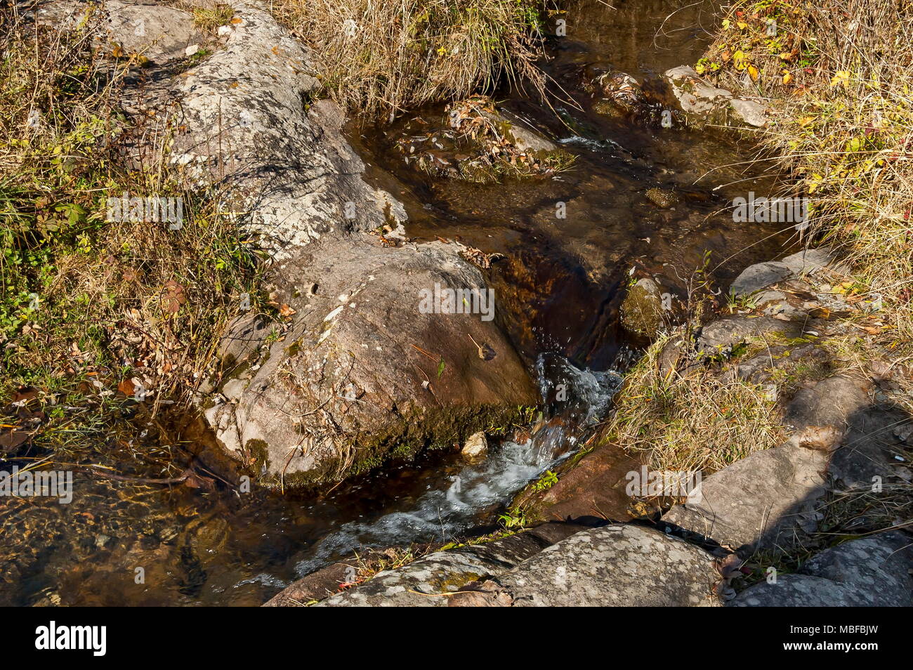 Veduta autunnale del fiume Lokorska in pietra riverside, Balkan mountain, vicino villaggio Lokorsko, Bulgaria Foto Stock