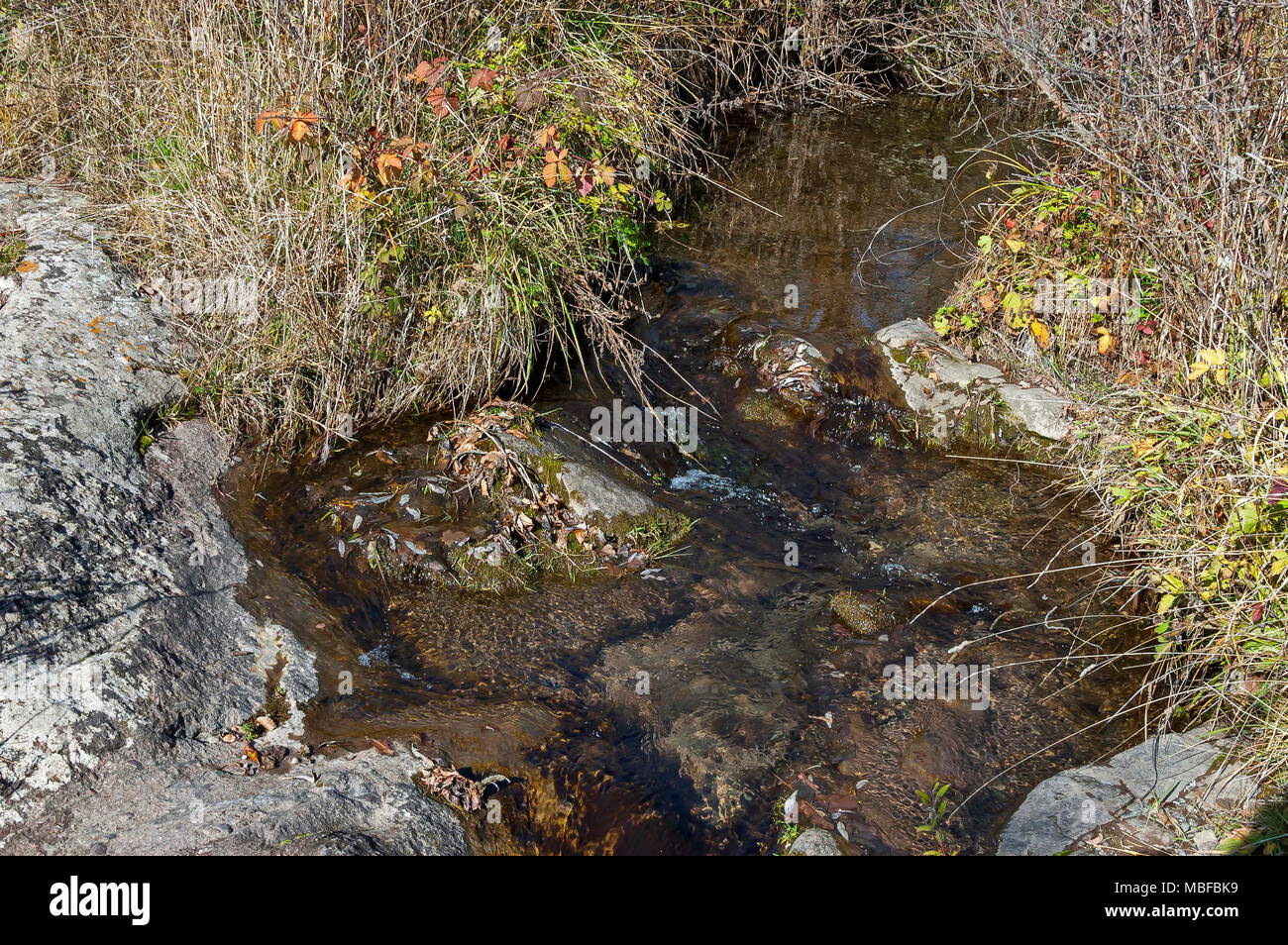 Veduta autunnale del fiume Lokorska in pietra riverside, Balkan mountain, vicino villaggio Lokorsko, Bulgaria Foto Stock