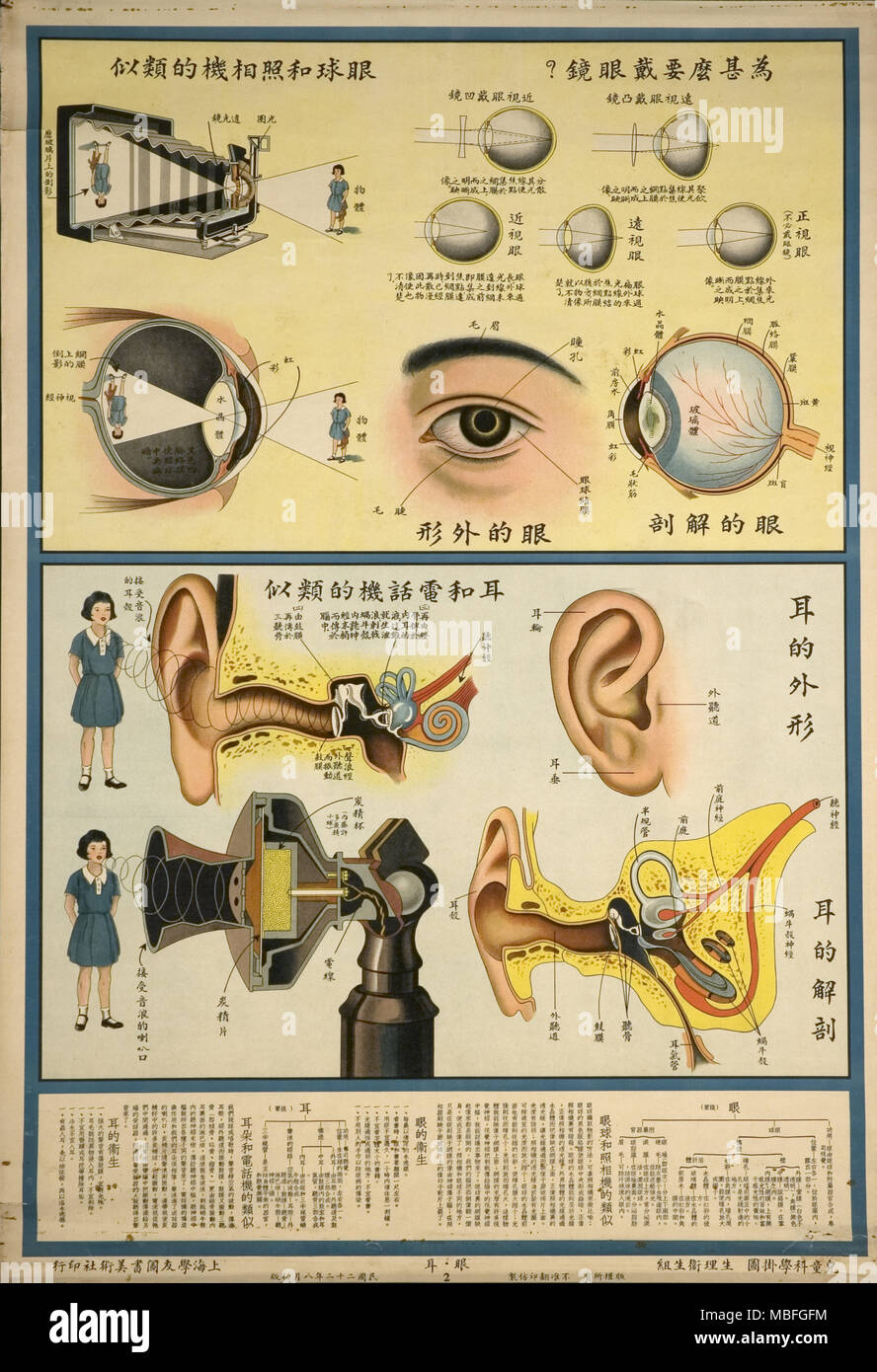 Diagramma di anatomia dell'occhio e dell'orecchio Foto Stock
