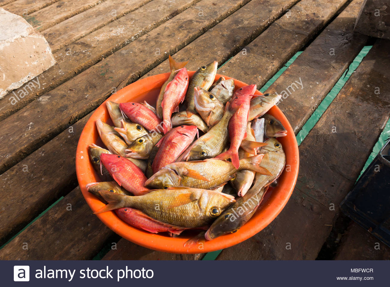 un sacco di pesce hook updati di contatto di incontri uniformi