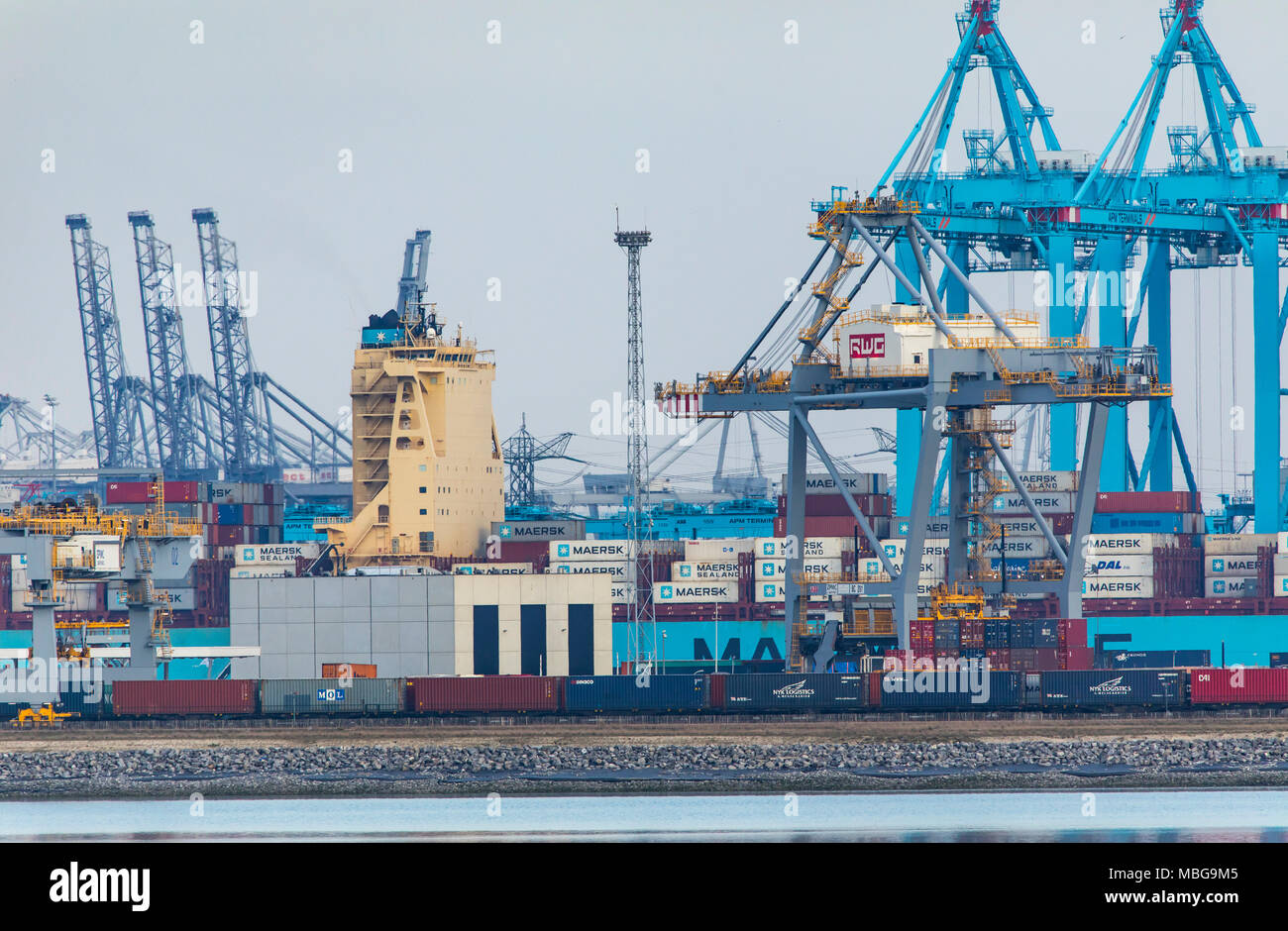 Il porto di Rotterdam, Paesi Bassi, deep-sea port Maasvlakte 2, su un creato artificialmente land area di fronte alla costa originale, Rotterdam Giornate mondiali Foto Stock