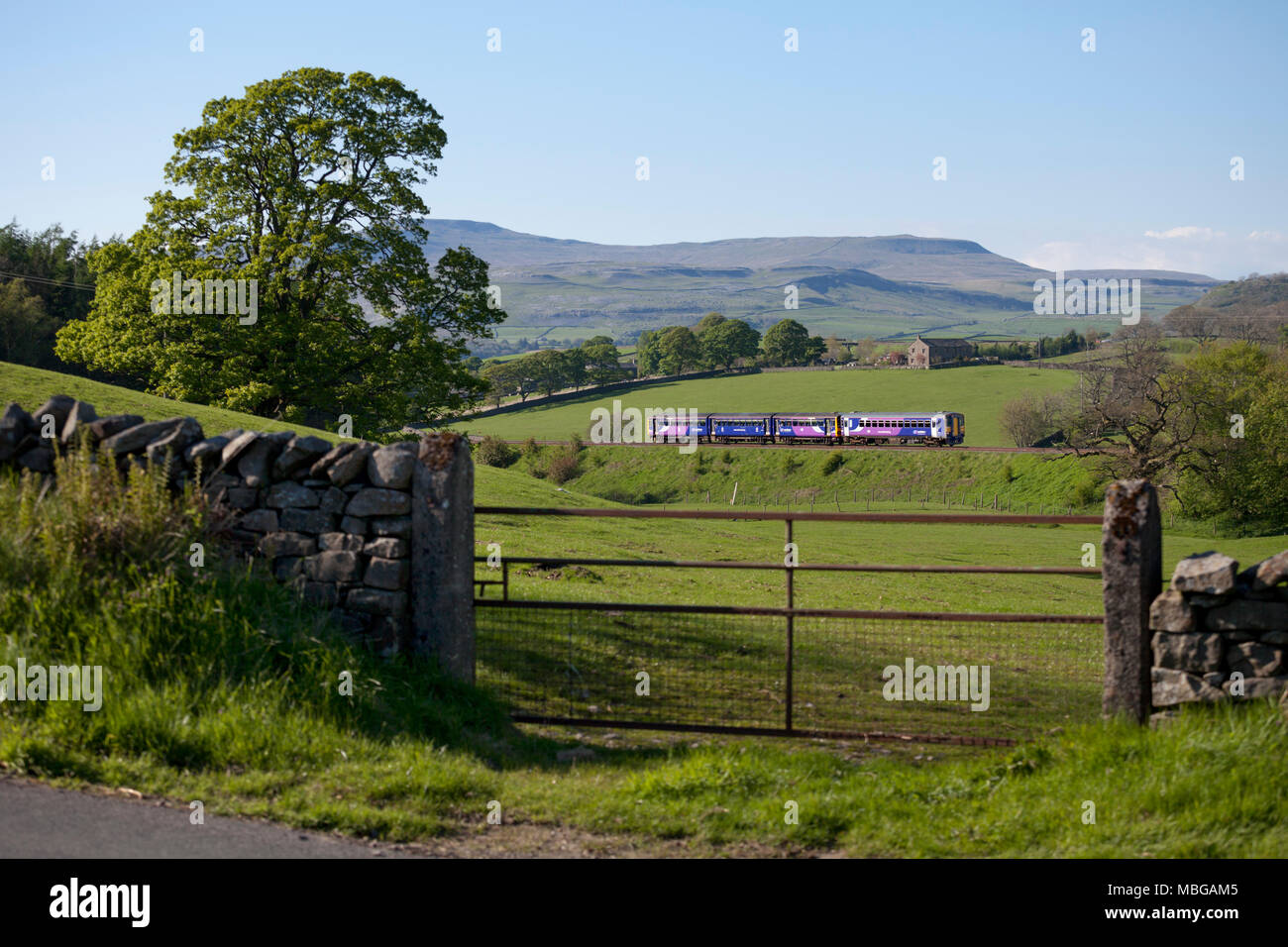 Una rampa settentrionale sprinter & treno Pacer pass Armistead (tra Clapham & Giggleswick, Yorkshire) sul 'little north western' linea Foto Stock