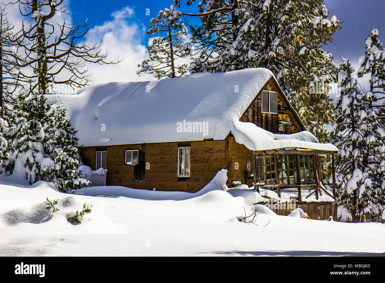 Cabina di montagna con la neve impilate sul tetto e gli alberi Foto Stock