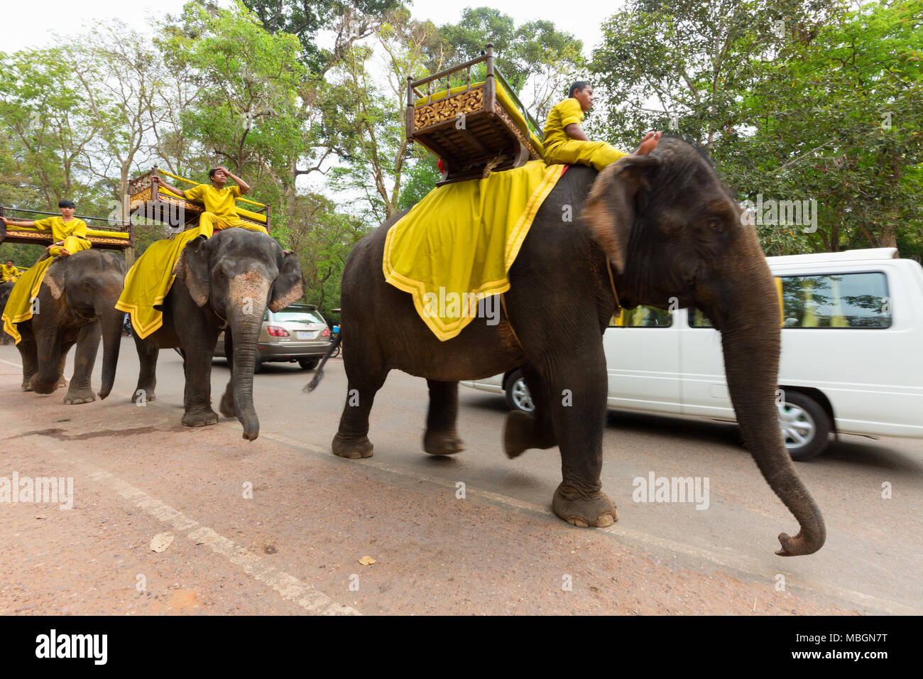 Equitazione Mahouts elefanti asiatici, Angkor Thom, Cambogia Asia Foto Stock