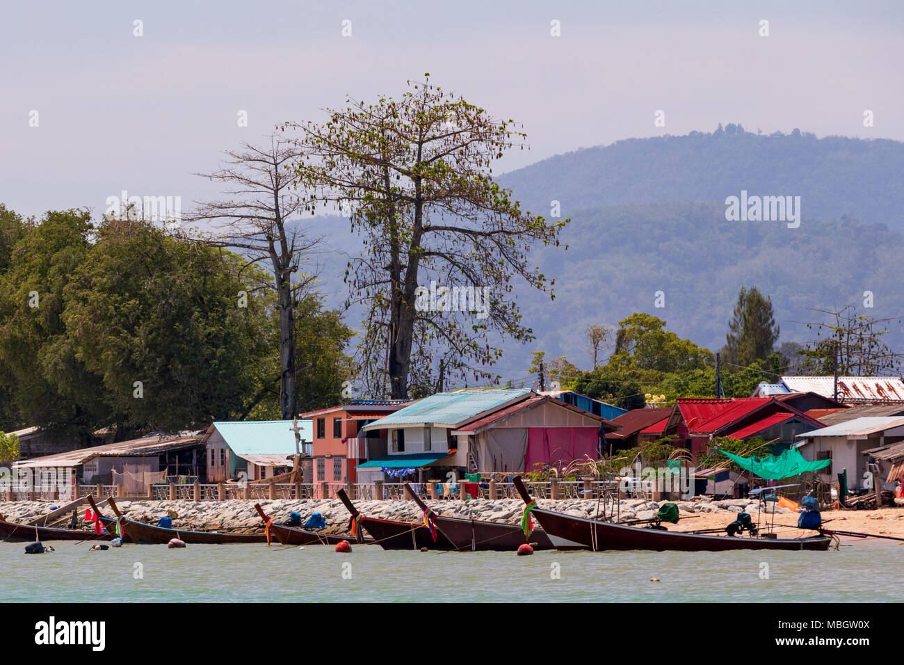 Longtail barche ormeggiate lungo la riva. Foto Stock