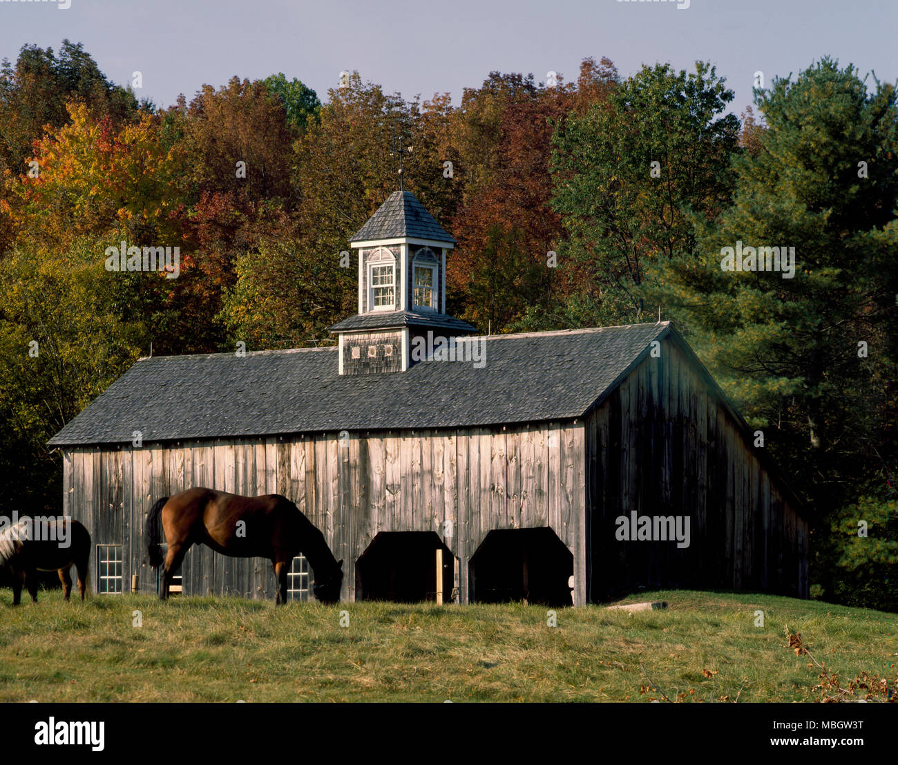 Horse Farm Barn Foto Stock