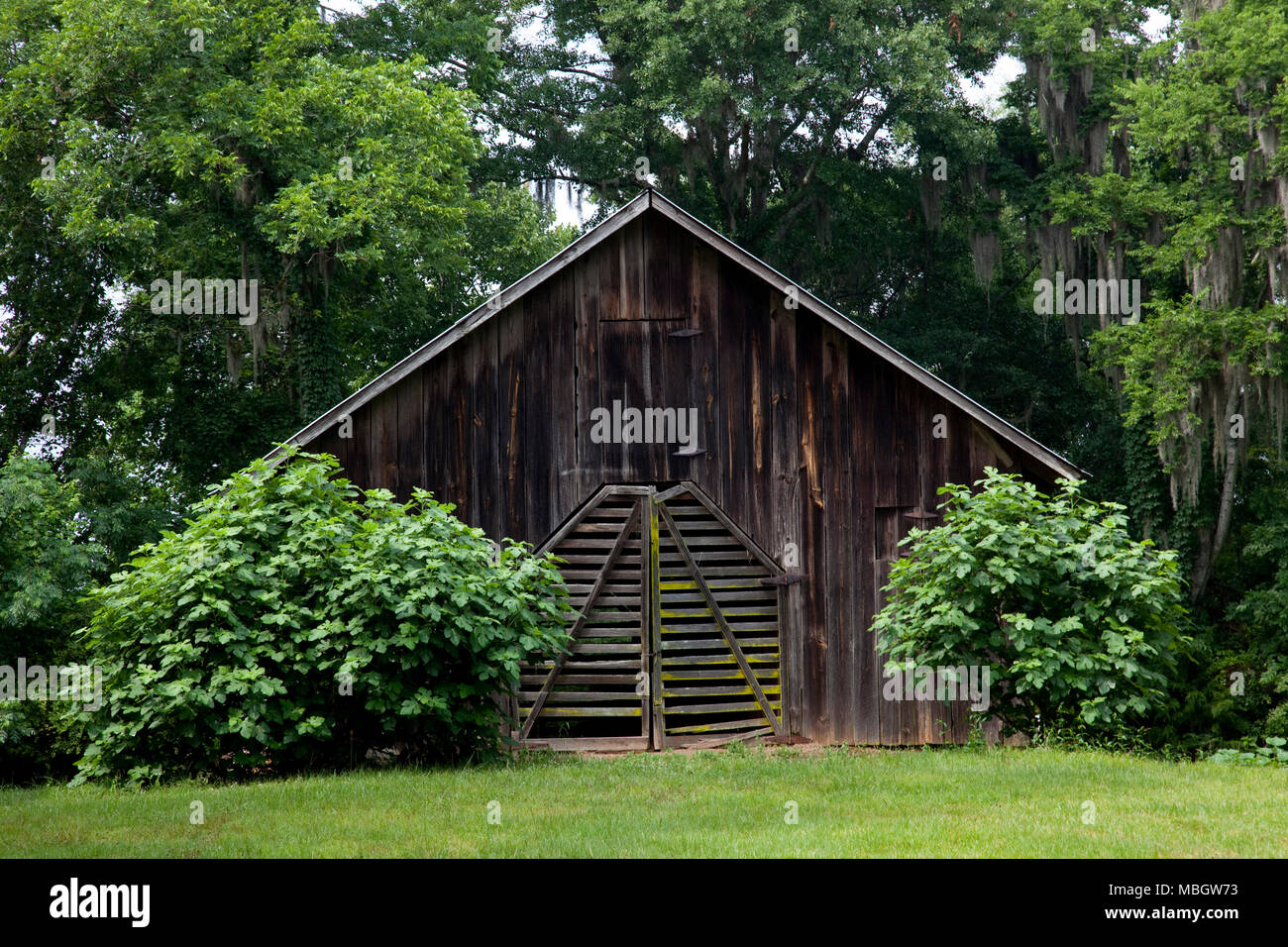 Moss collina storica casa nei pressi di Pine Apple, Alabama Foto Stock