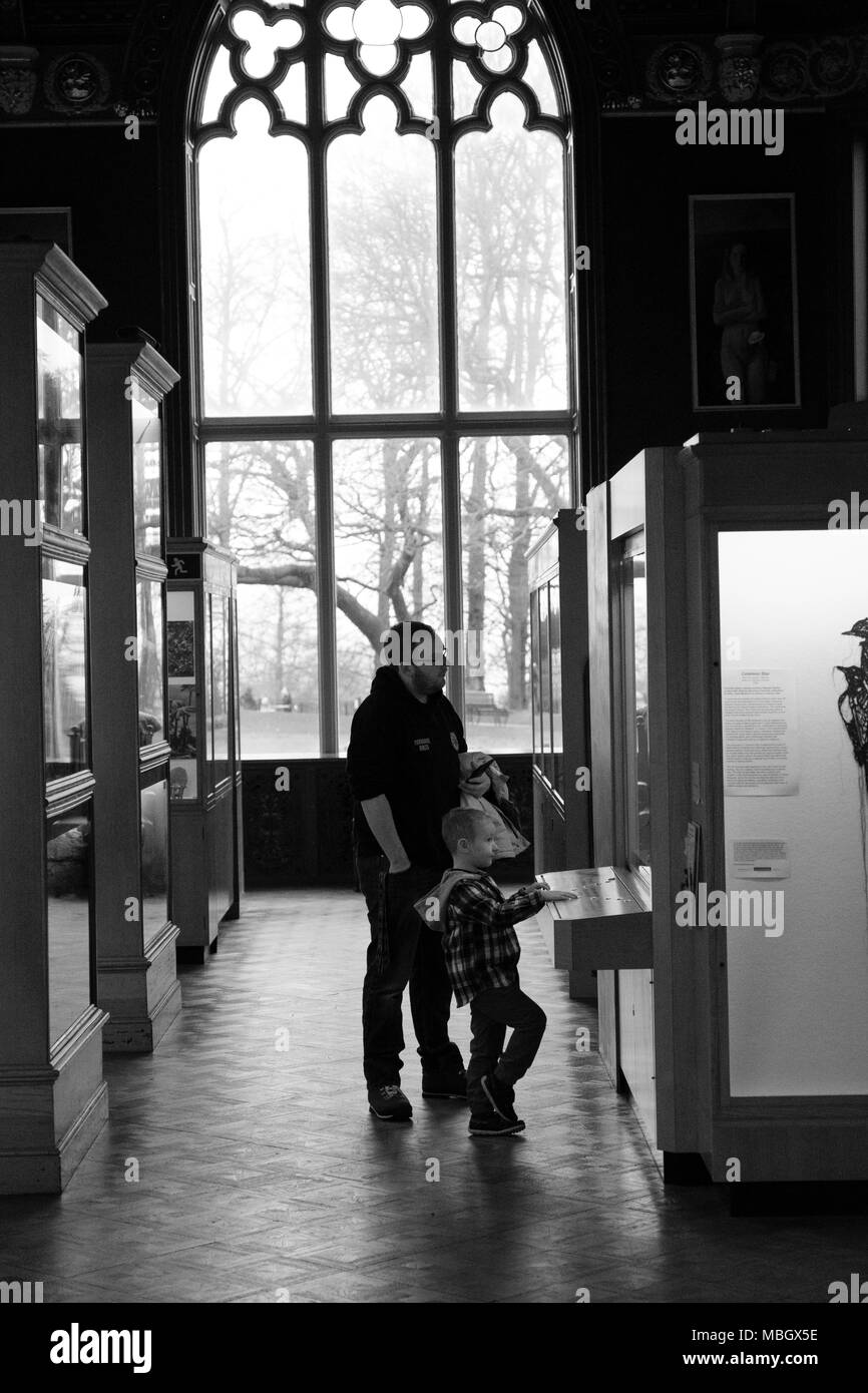 Presenta all'interno Cliffe Castle Museum, Keighley, Bradford, Yorkshire, Regno Unito. Foto Stock