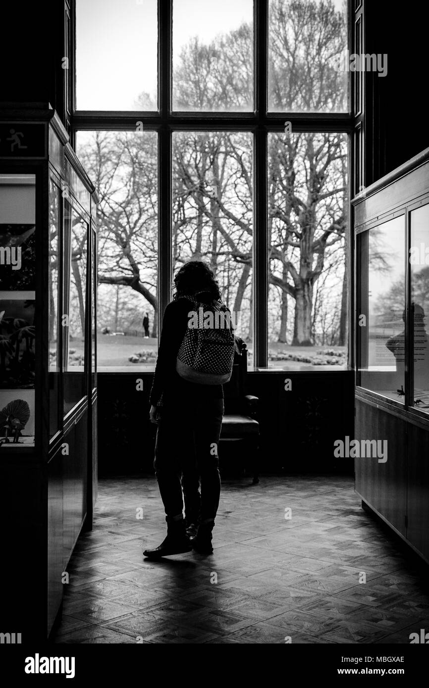 Presenta all'interno Cliffe Castle Museum, Keighley, Bradford, Yorkshire, Regno Unito. Foto Stock