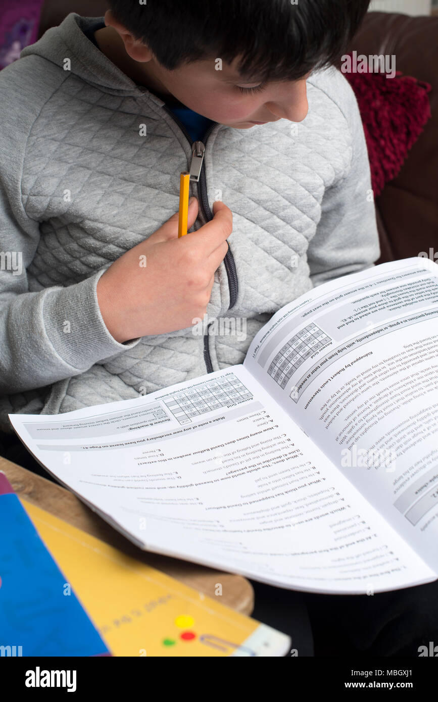 Ragazzo di 10 anni di revisione in lingua inglese a casa- close-up Foto Stock