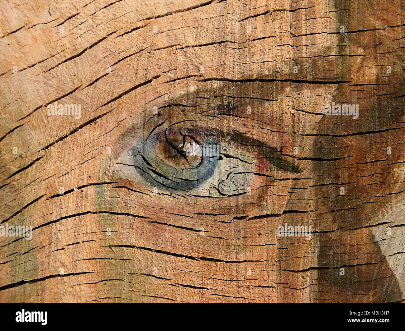 Testurizzato e Occhio dipinto su legno Foto Stock