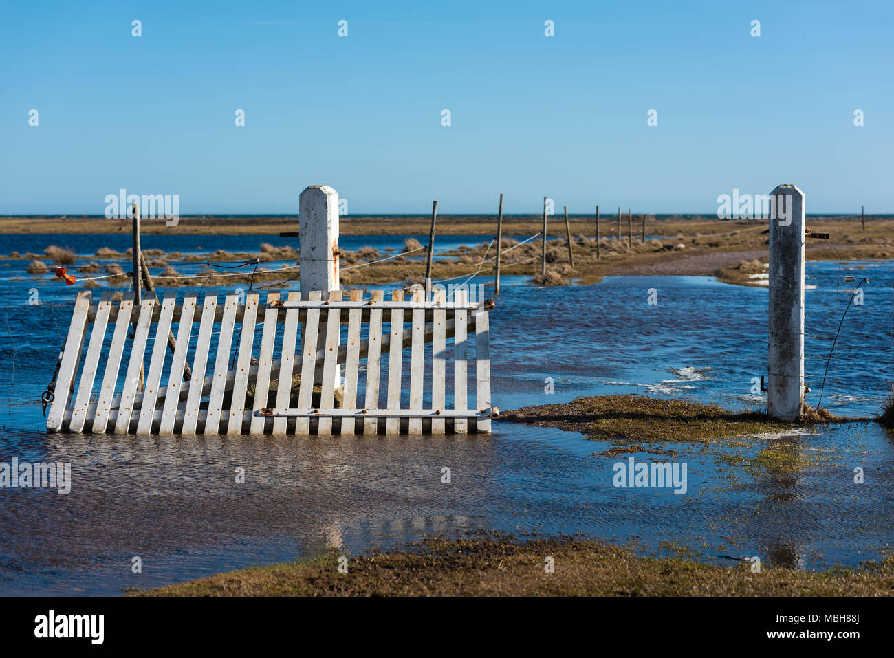 Cancello bianco delle sue cerniere, appoggiata contro una porta post. Percorso inondate lungo una recinzione che conduce verso la costa. Ubicazione Ottenby riserva naturale, svedese Foto Stock