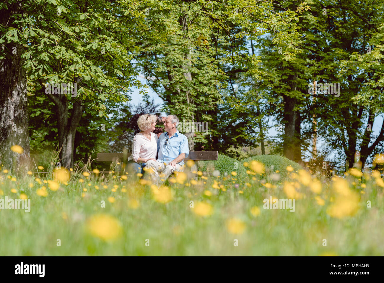 Romantico coppia senior in love dating all'aperto in un parco idilliaco Foto Stock