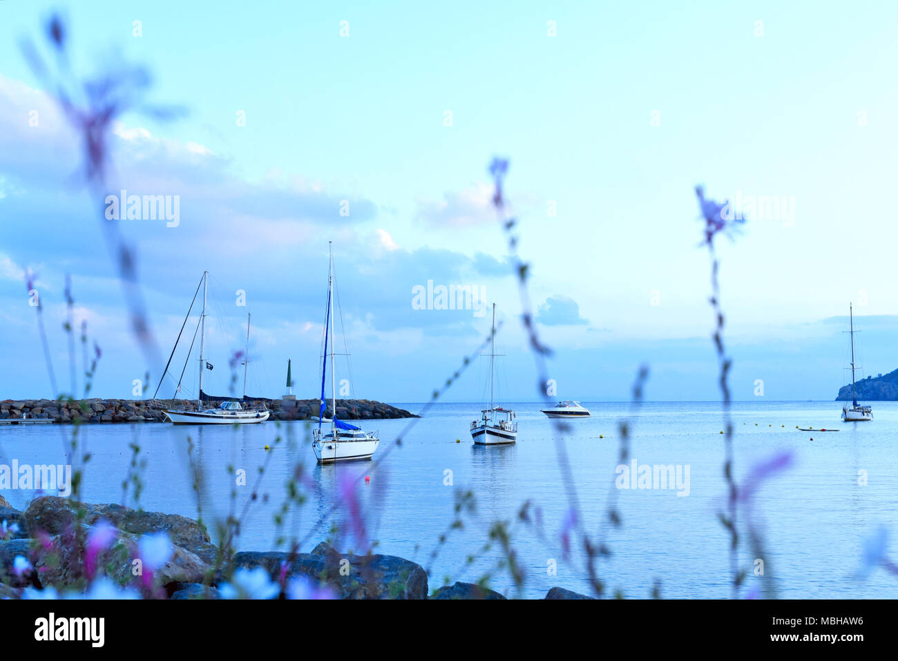 Ora blu dopo il tramonto a Santa Eulalia des Riu, Isola di Ibiza. Fiori viola e la scena del mare con barche ancorate. Mare Mediterraneo scena serale. Foto Stock