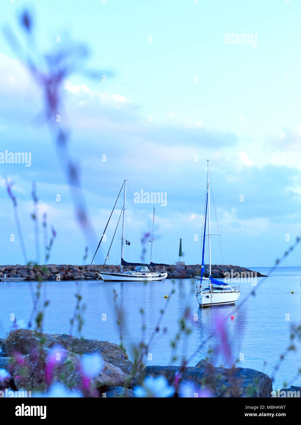 Ora blu dopo il tramonto a Santa Eulalia des Riu, Isola di Ibiza. Fiori viola e la scena del mare con barche ancorate. Mare Mediterraneo scena serale. Foto Stock