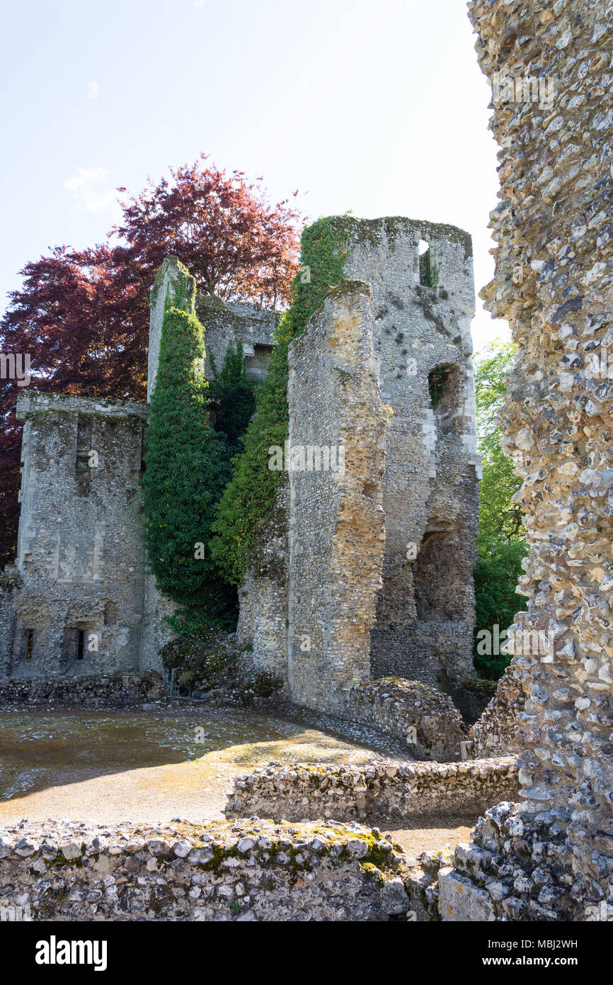 Il vescovo di Waltham Palace rovina, Vescovo di Waltham, Hampshire, Inghilterra, Regno Unito Foto Stock
