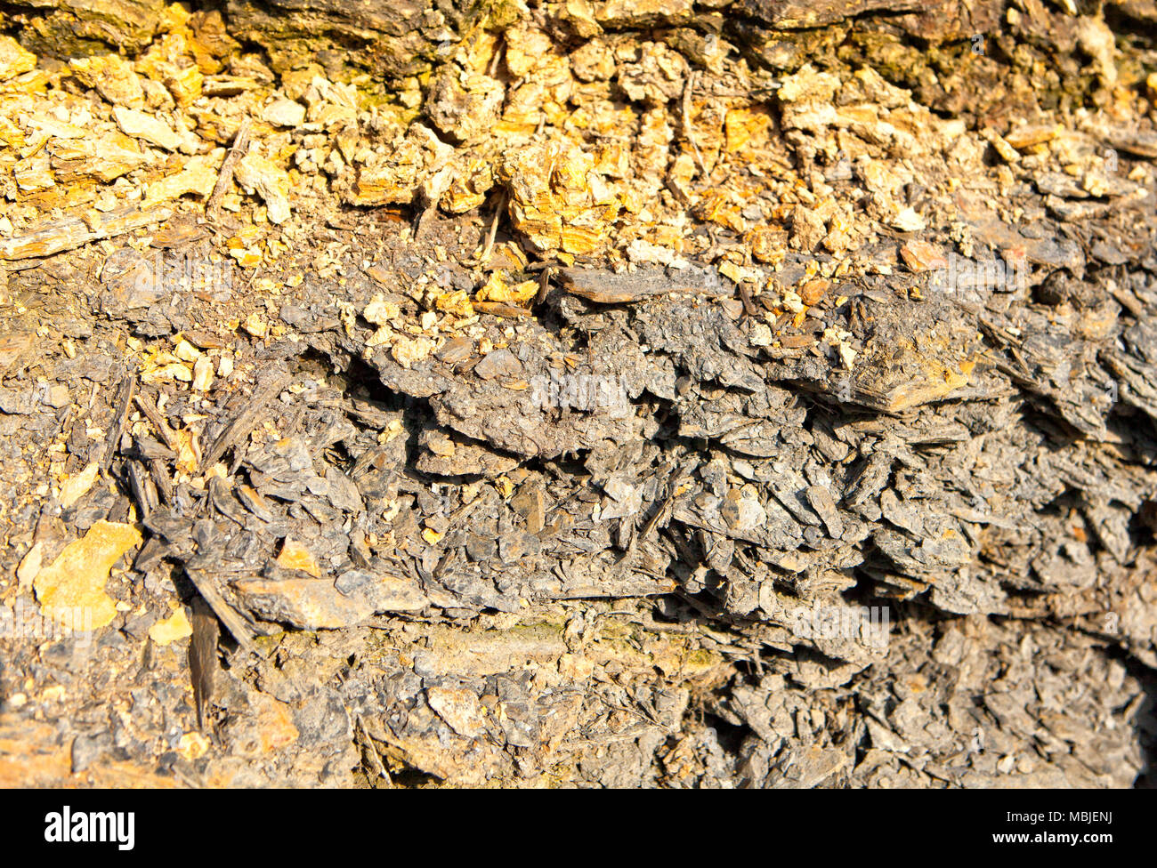 Il Lac de Guerlédan deve essere scaricata tra aprile e novembre 2015, Côtes-d'Armor, Brittany, Francia. Foto Stock