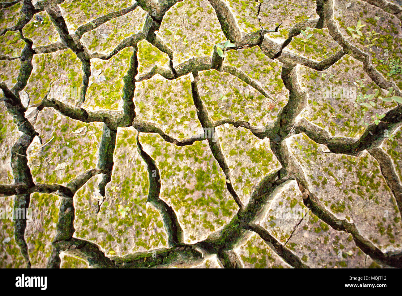 Il Lac de Guerlédan deve essere scaricata tra aprile e novembre 2015, Côtes-d'Armor, Brittany, Francia. Foto Stock