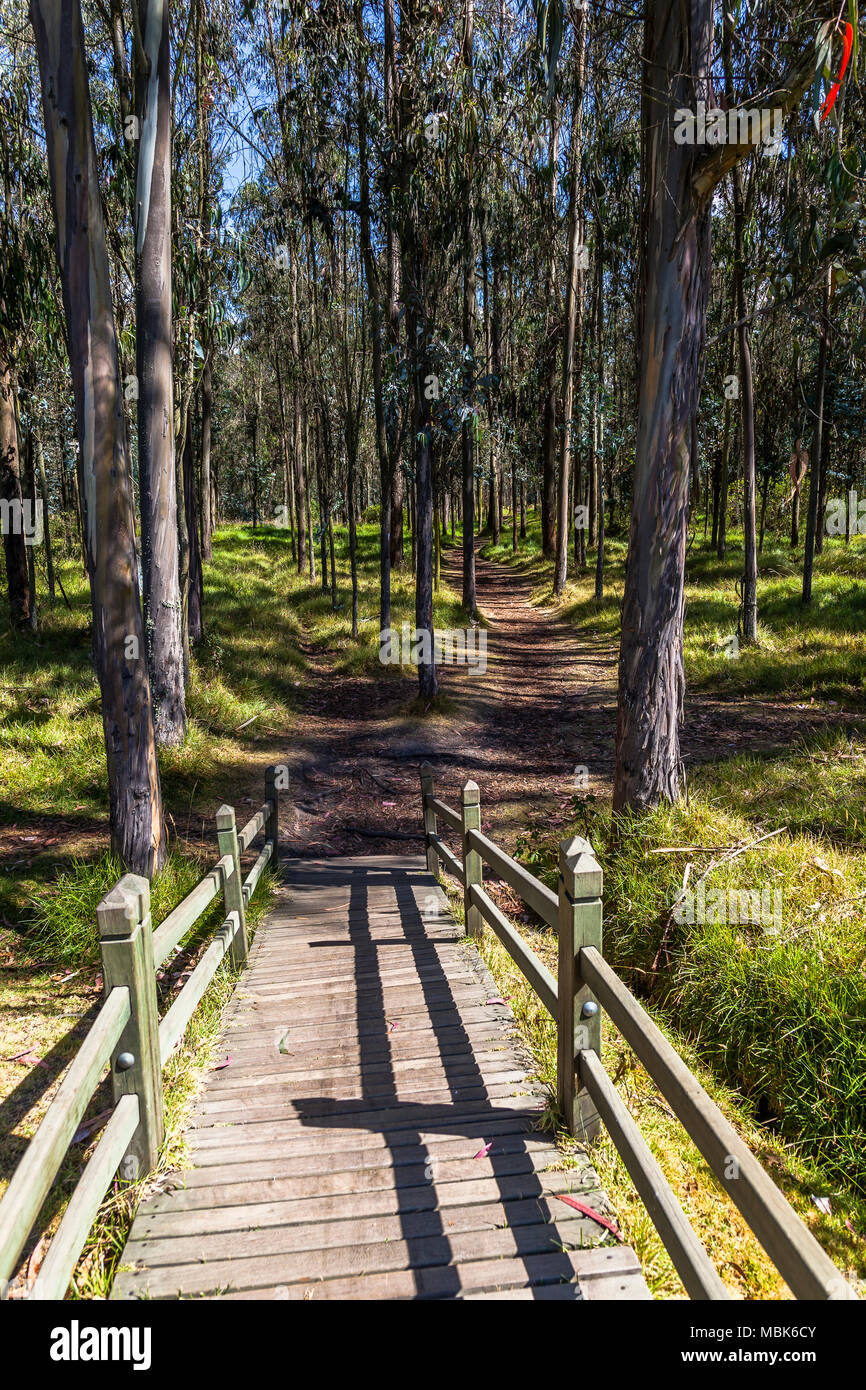 Arcuata di ponte di legno in un parco della città sulla giornata di sole Foto Stock