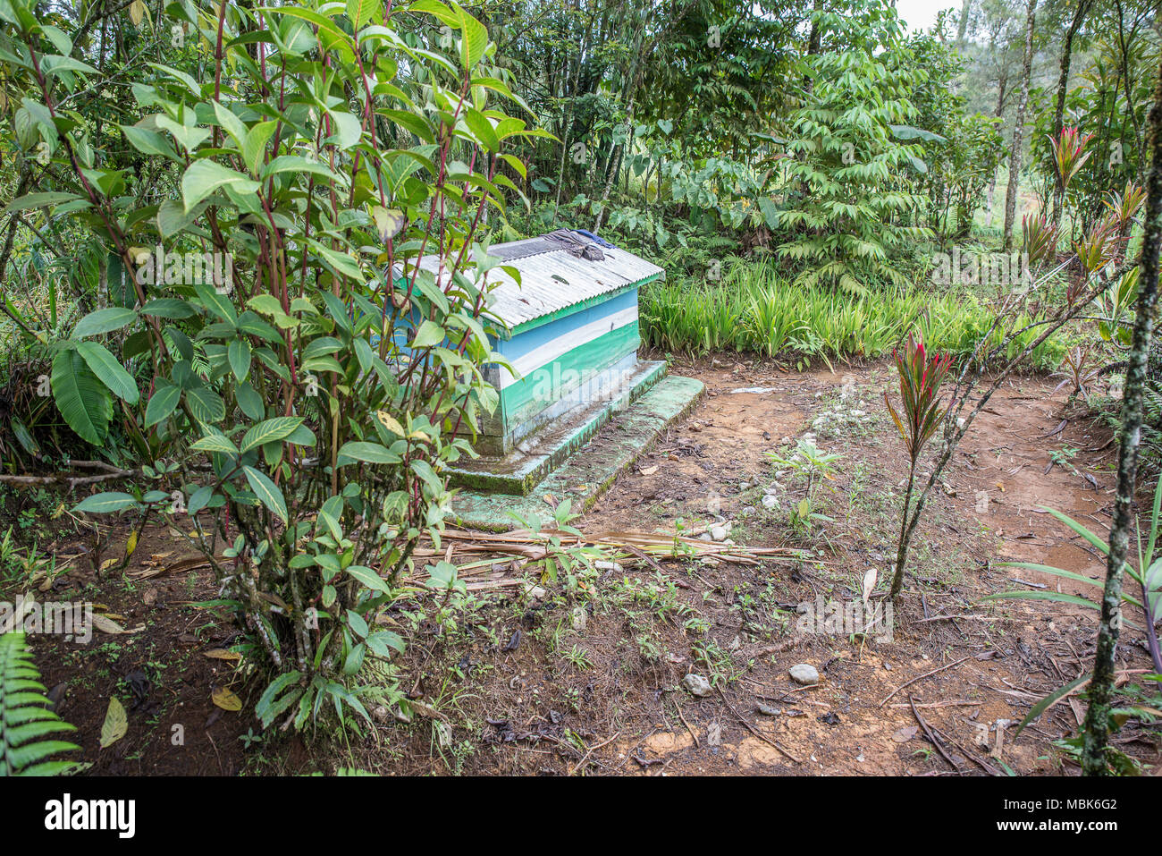 Moderno tomba nel cimitero cristiano, Tari Valley, Papua Nuova Guinea Foto Stock