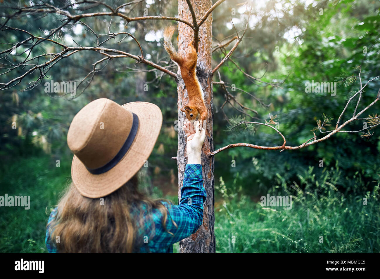 Giovane donna tanga in hat con capelli lunghi alimentazione scoiattolo divertenti in pineta Foto Stock