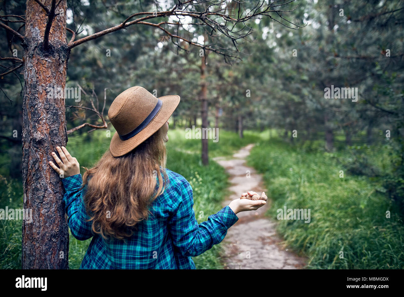 Giovane donna tanga in marrone cappello e verde maglietta controllati con capelli lunghi toccando il pino e tenendo le noci nella sua mano nella foresta Foto Stock
