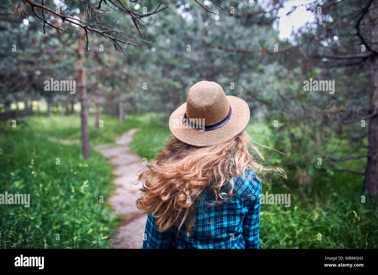 Giovane donna in marrone cappello e verde maglietta controllati con capelli lunghi nel flusso del vento sotto alberi di pino della foresta Foto Stock