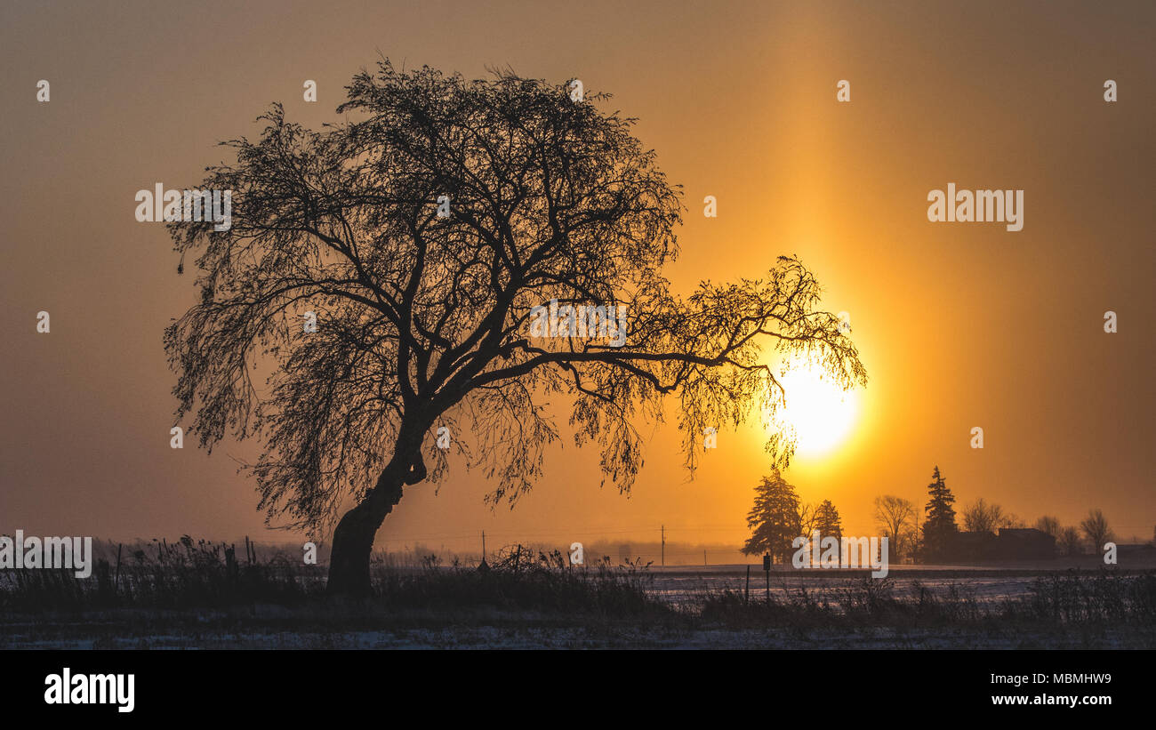 La cattura che sunrise Foto Stock