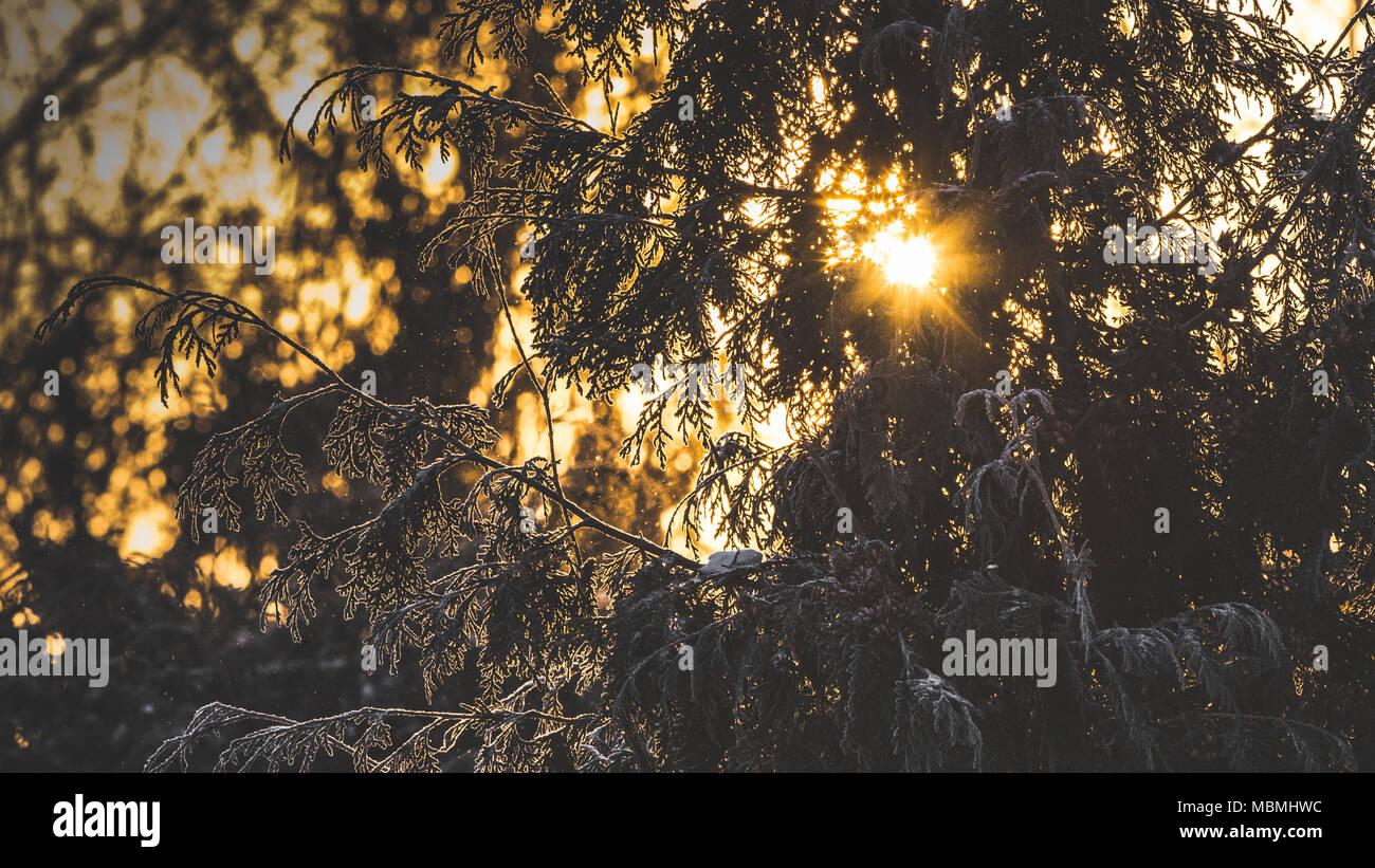 Luce di peaking Foto Stock