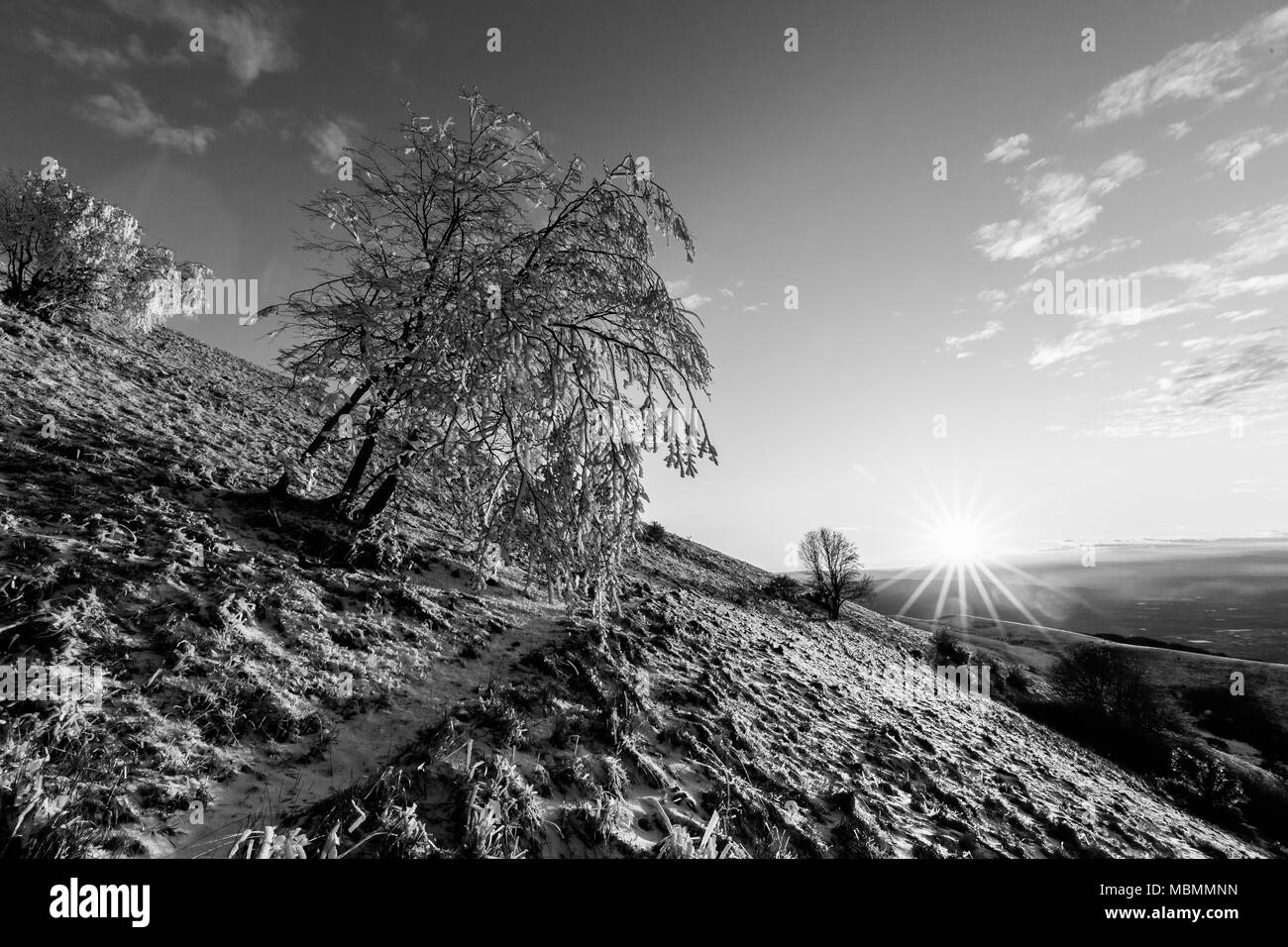 Bel tramonto su una montagna, con la neve che ricopre il terreno e la brina sui rami di alberi Foto Stock