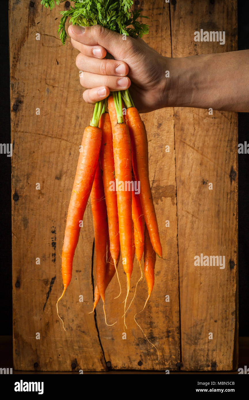 Studio nature morte di una mano che tiene un mazzetto di carote fresche di fronte a uno sfondo di legno. Foto Stock