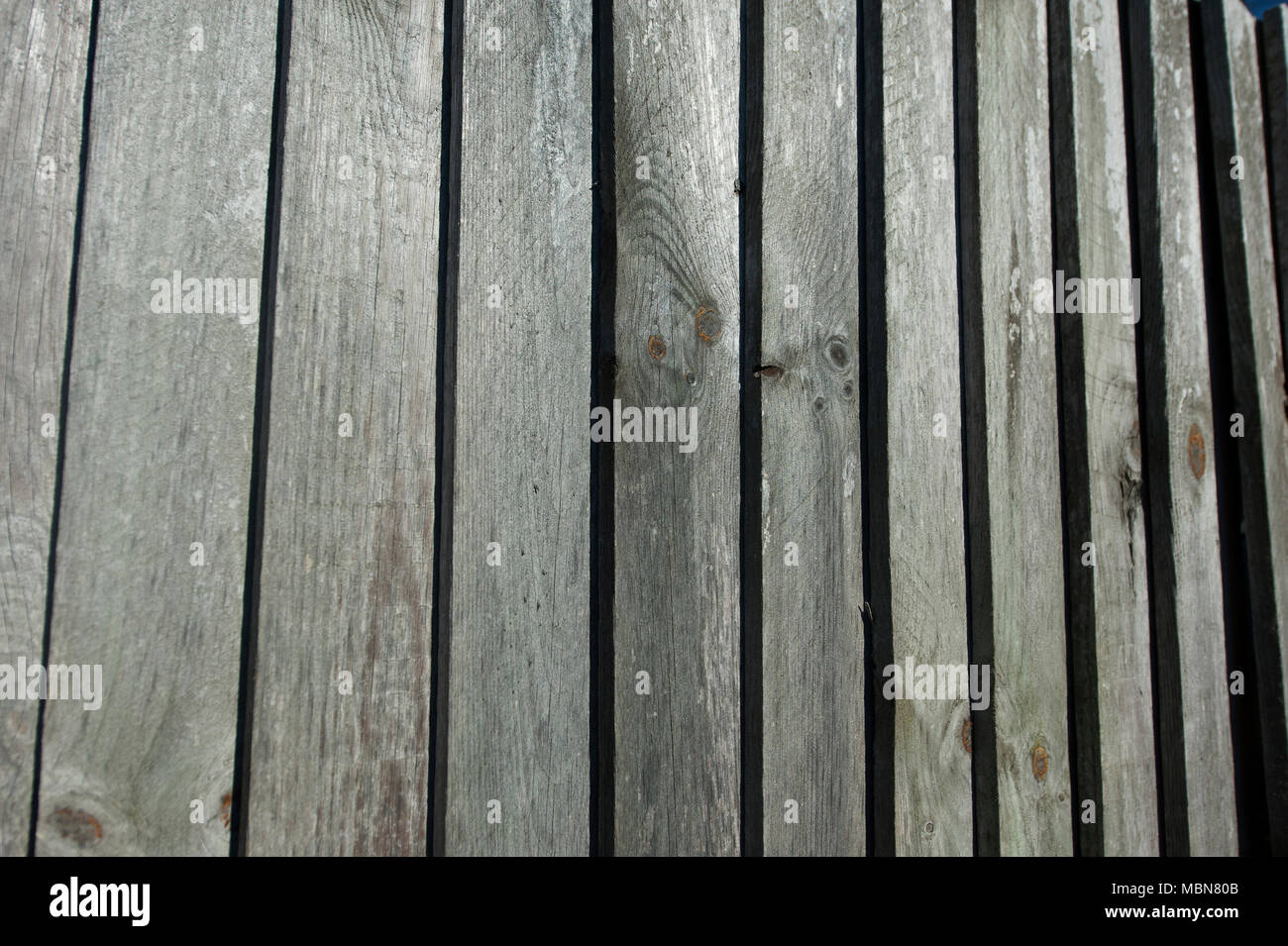 Gancio Heath, Surrey, England, Regno Unito Foto Stock