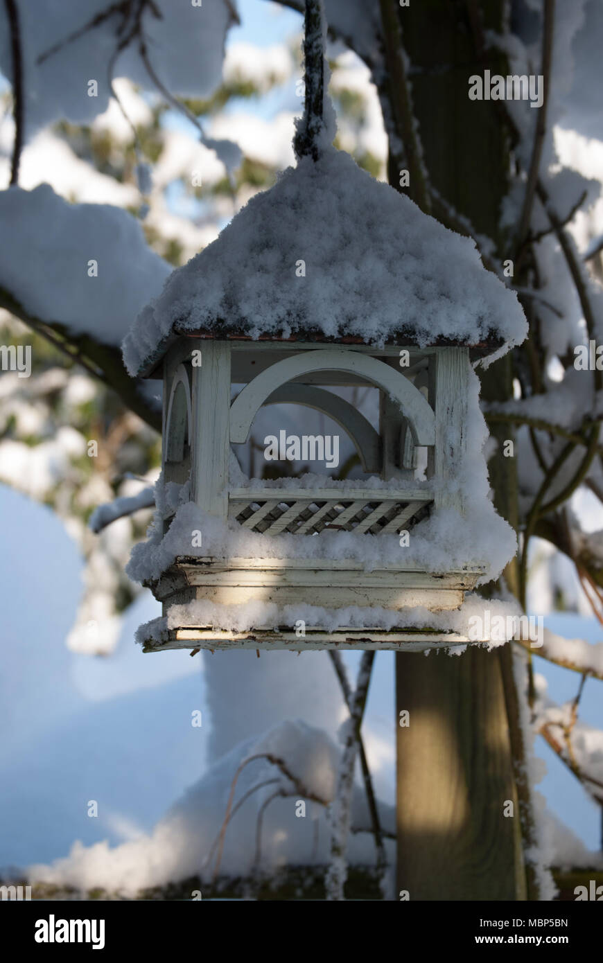 In legno pitturato tabella di uccelli appesi a un albero coperto di neve. Inverno immagine. Foto Stock