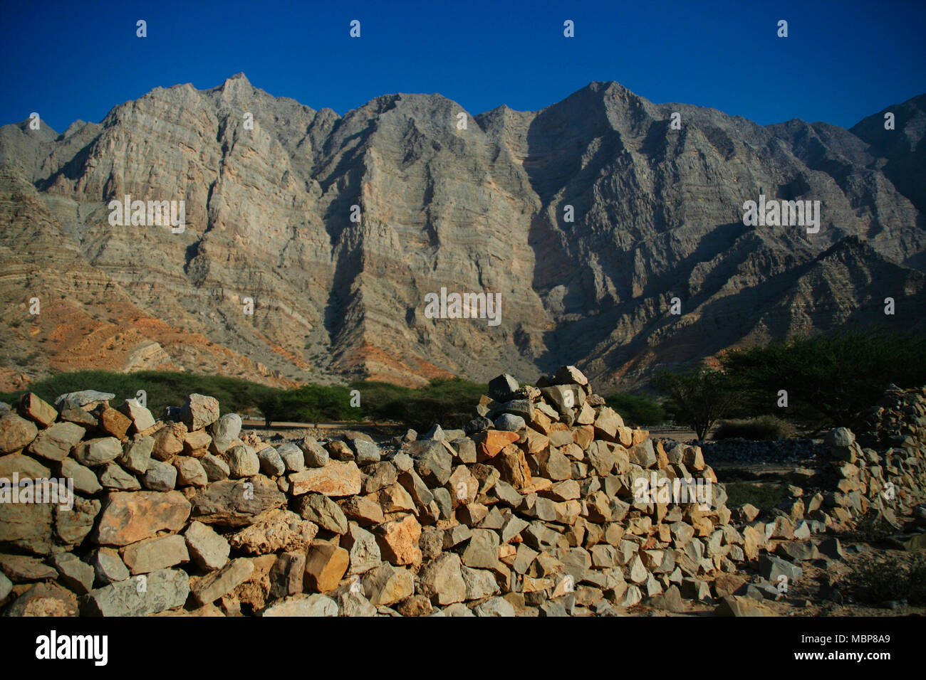 Bukha, penisola di Musandam, Oman Foto Stock