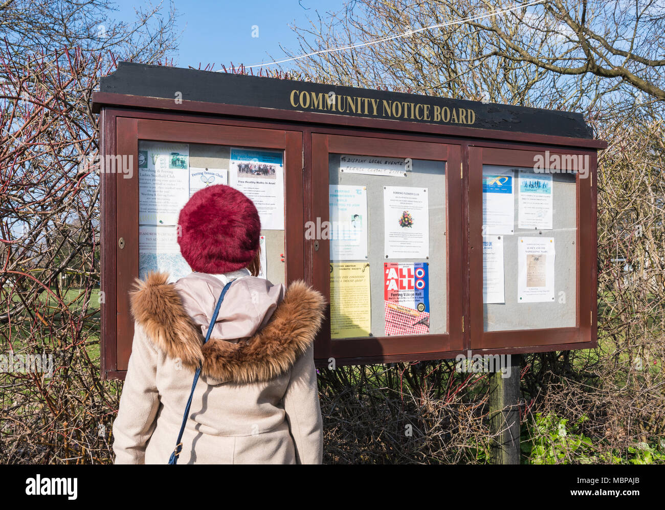 Donna che legge una Community Notice Board a Ferring, West Sussex, Inghilterra, Regno Unito. Signora che guarda un tabellone della comunità in un villaggio britannico. Foto Stock
