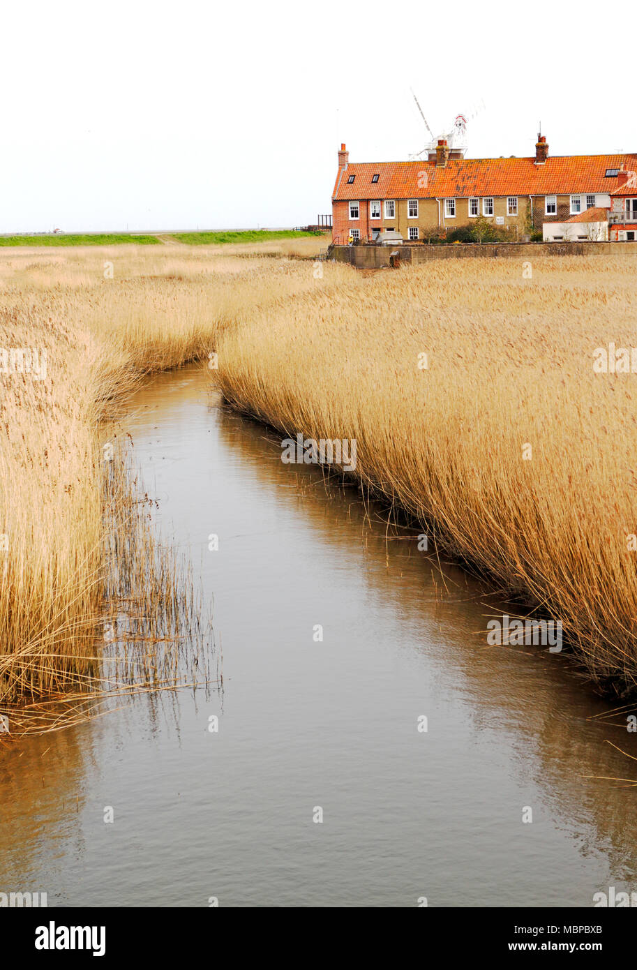 Una vista del fiume Glaven fluente attraverso canneti verso il mulino sulla Costa North Norfolk a Cley-next-Mare, Norfolk, Inghilterra, Regno Unito, Europa. Foto Stock