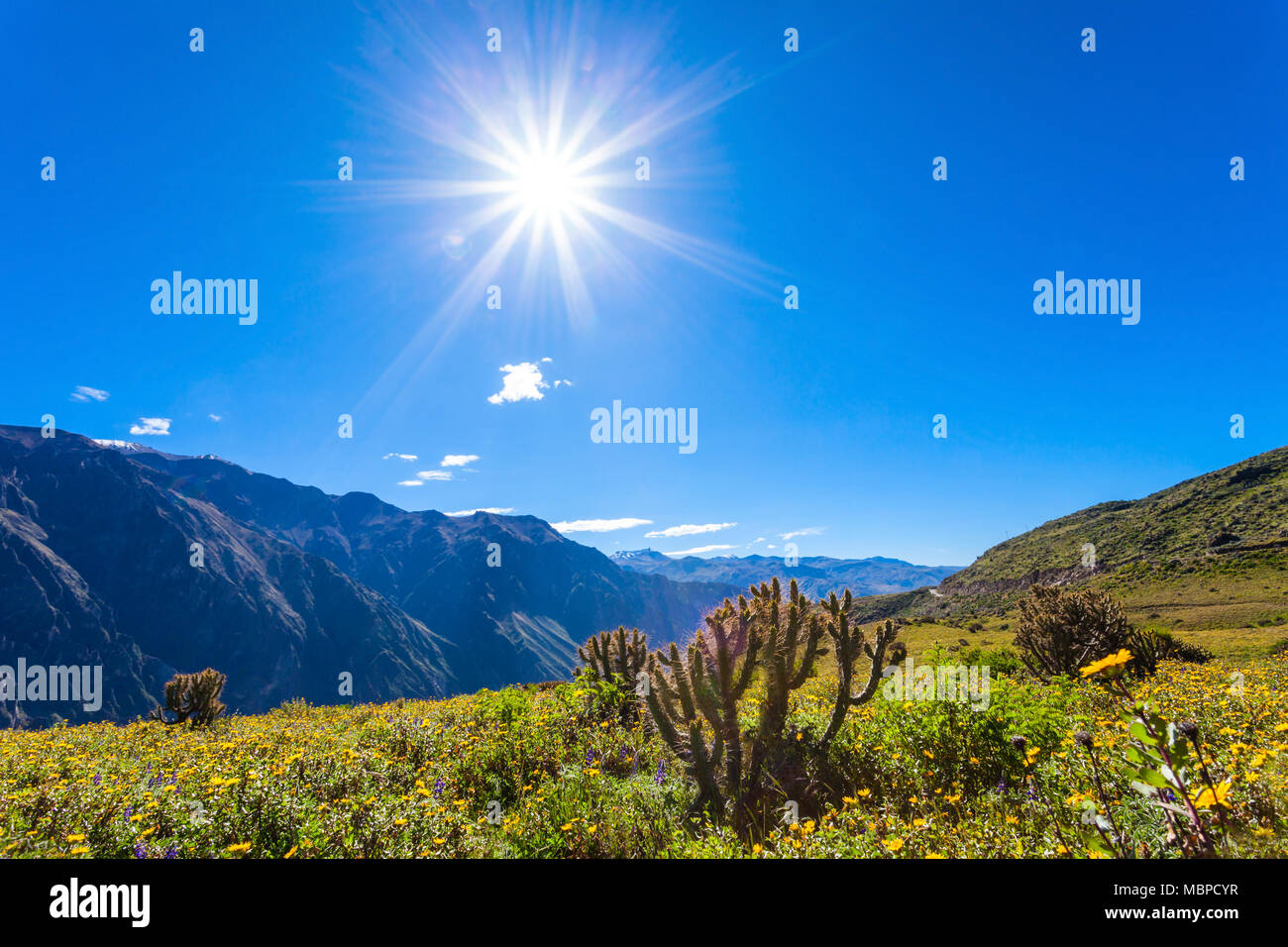 Il Colca Canyon è un Canyon del Colca River nel sud del Perù Foto Stock