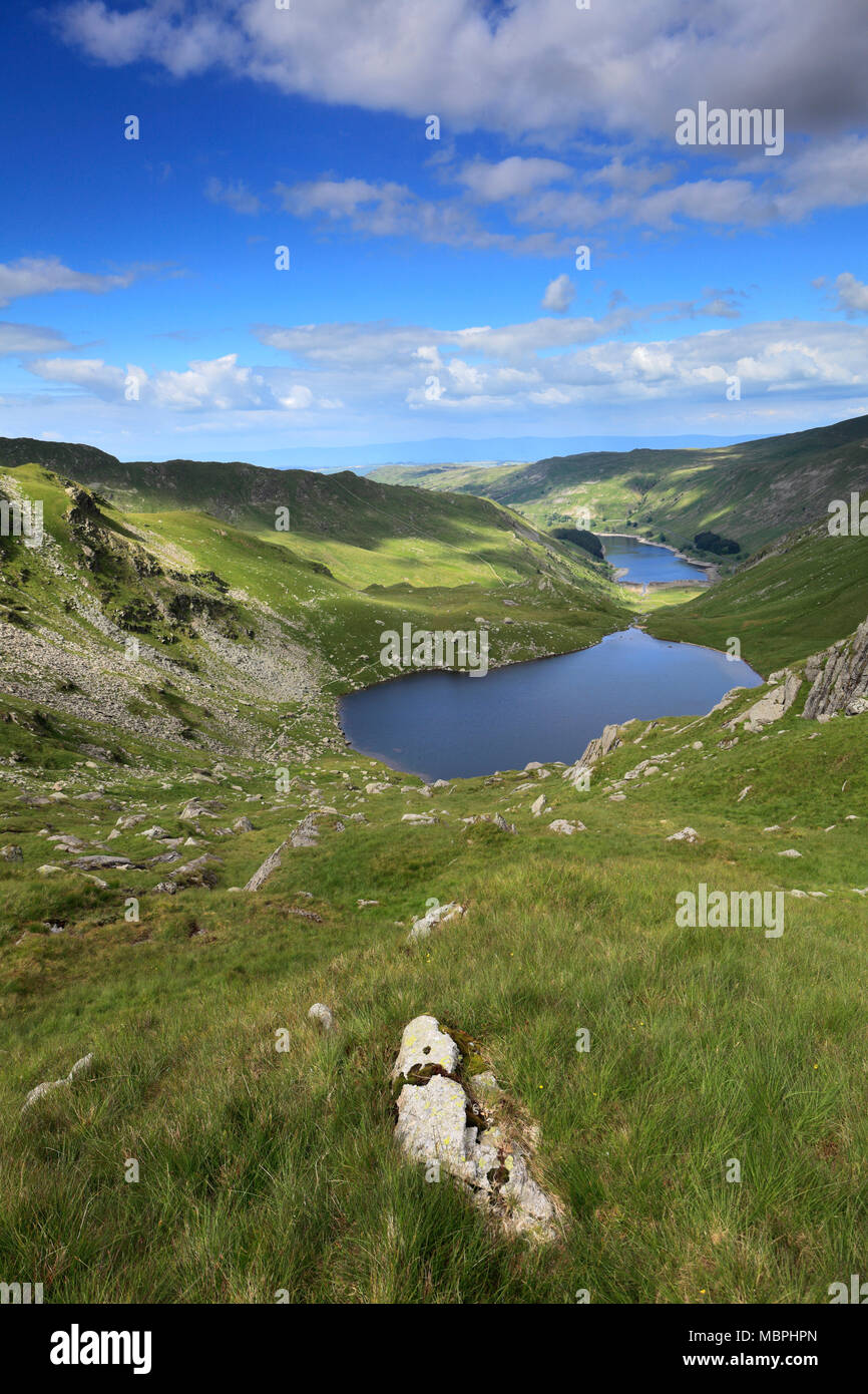 Piccolo acqua e Scafell serbatoio, Mardale valley, Parco Nazionale del Distretto dei Laghi, Cumbria, England, Regno Unito Foto Stock