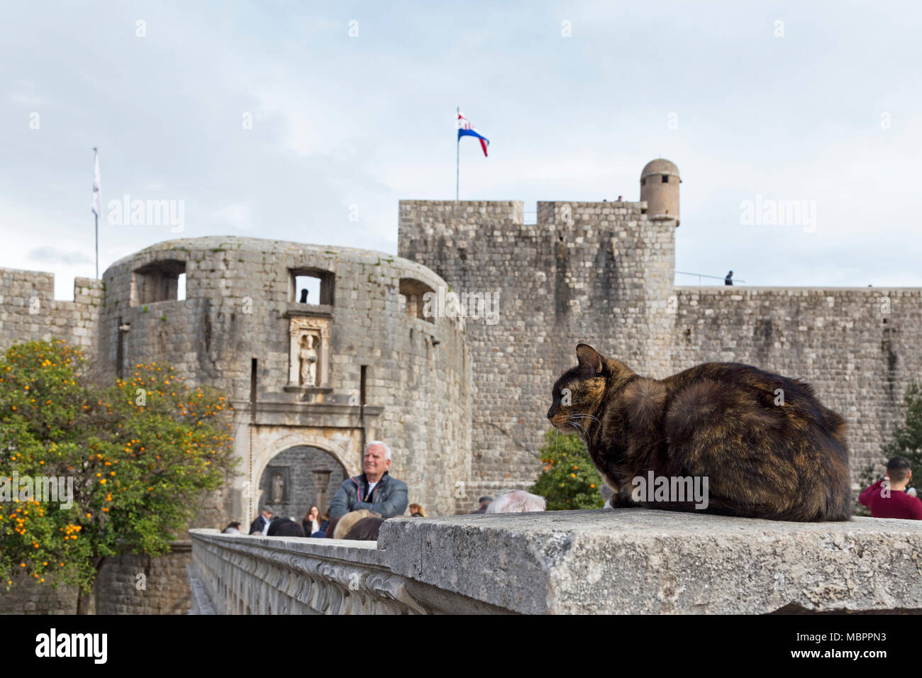 Pila di gate, mura, città vecchia, Dubrovnik, Croazia Foto Stock