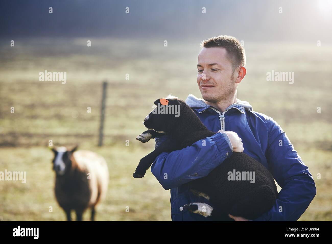 Mattina di sole sulla fattoria rurale. Giovane agricoltore holding agnello contro gli ovini e i pascoli. Foto Stock