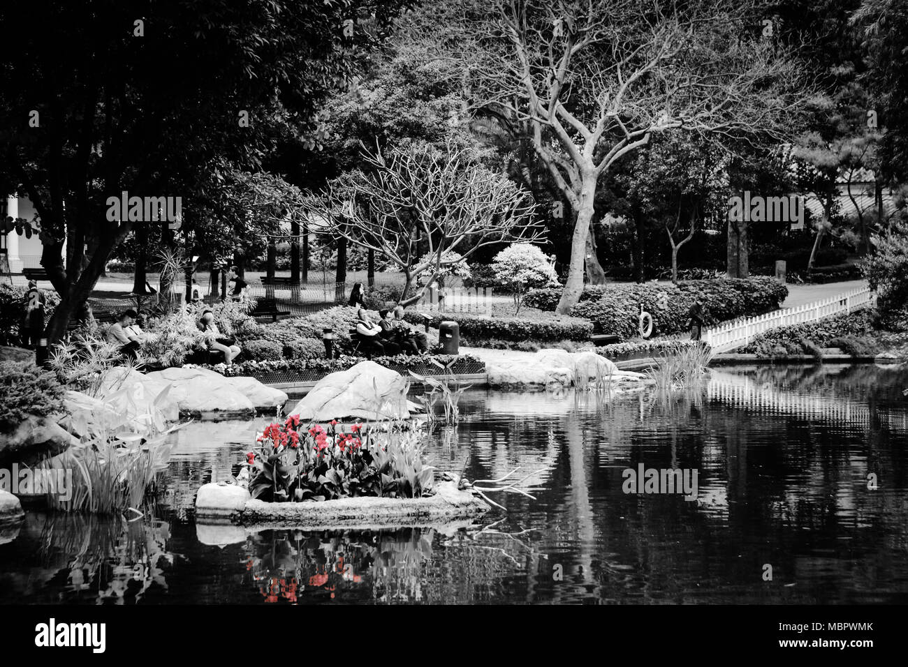 Le persone che si godono il silenzio e la tranquillità a Hong Kong Park sull isola di Hong Kong, Hong Kong SAR della Cina Foto Stock