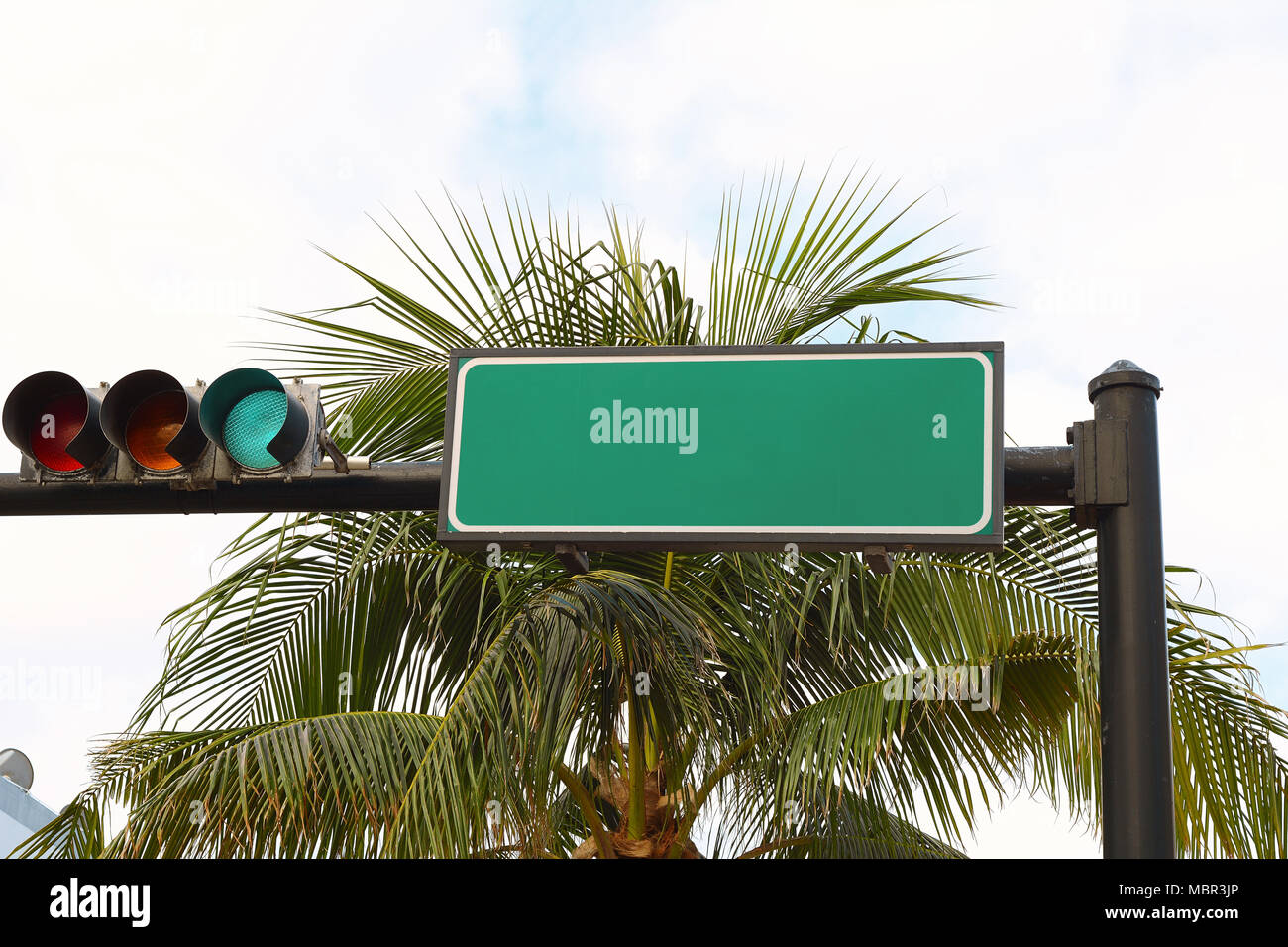 Bianco Traffico verde cartello stradale contro gli alberi di palme e cielo Foto Stock