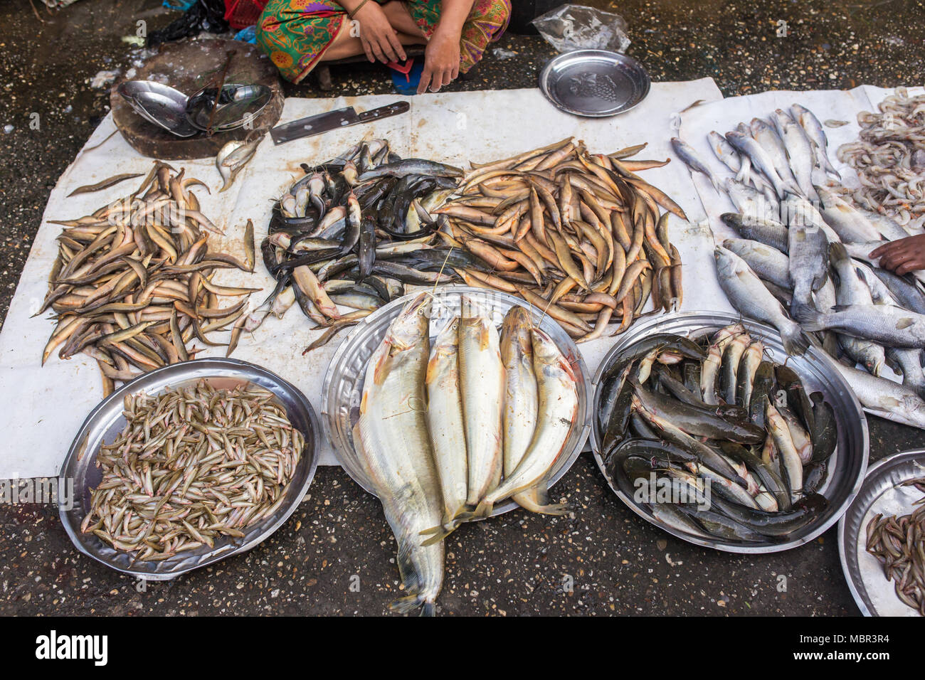 Il mercato locale del pesce a Yangon, Myanmar Foto Stock