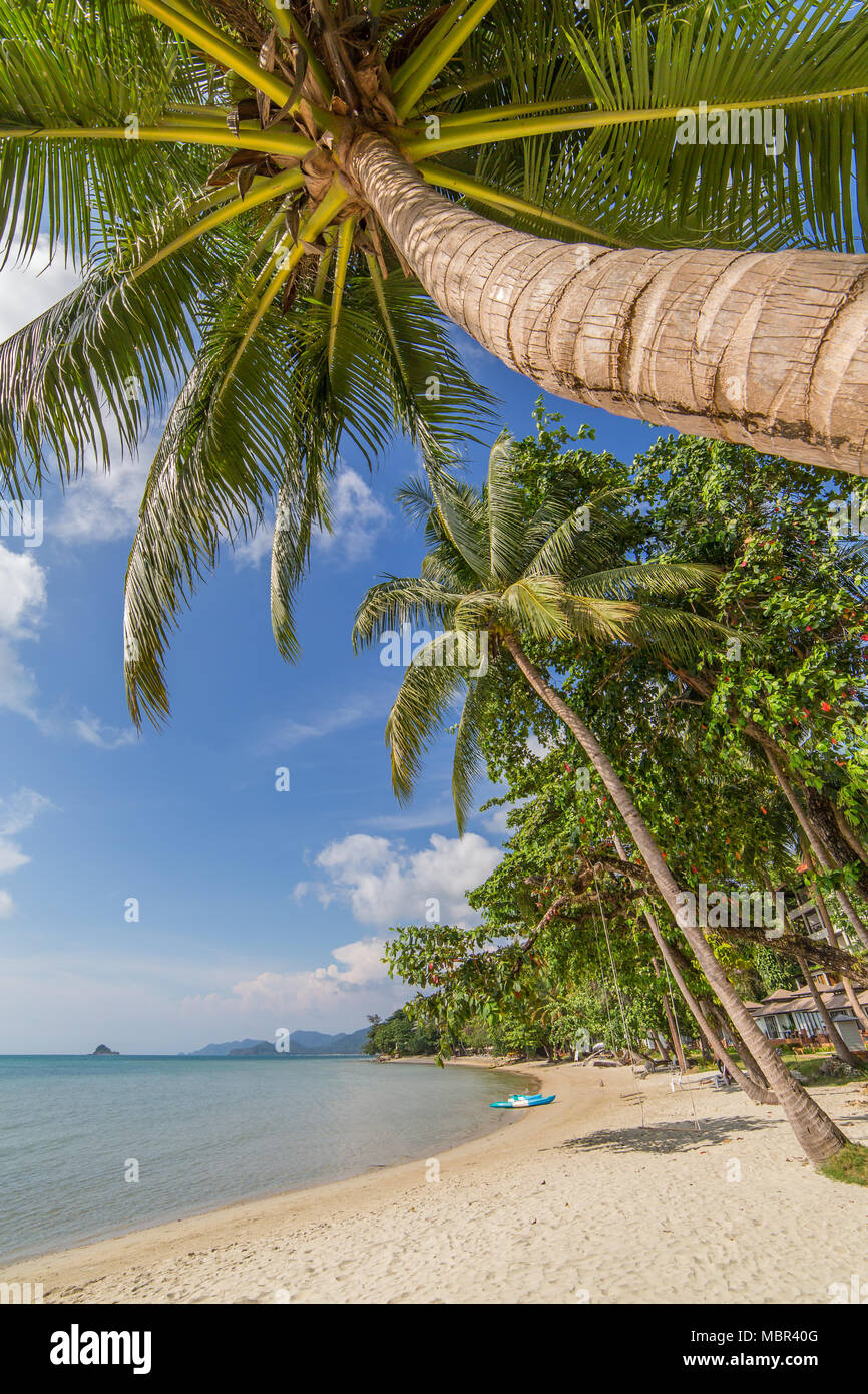 Le palme sulla bellissima spiaggia tropicale di Koh Chang island in Thailandia Foto Stock