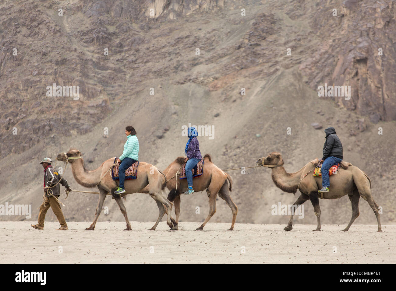 Ladakh, India - 29 Giugno 2017: Indiano turisti cavalcare i cammelli durante il safari in Valle di Nubra in Ladakh, India Foto Stock