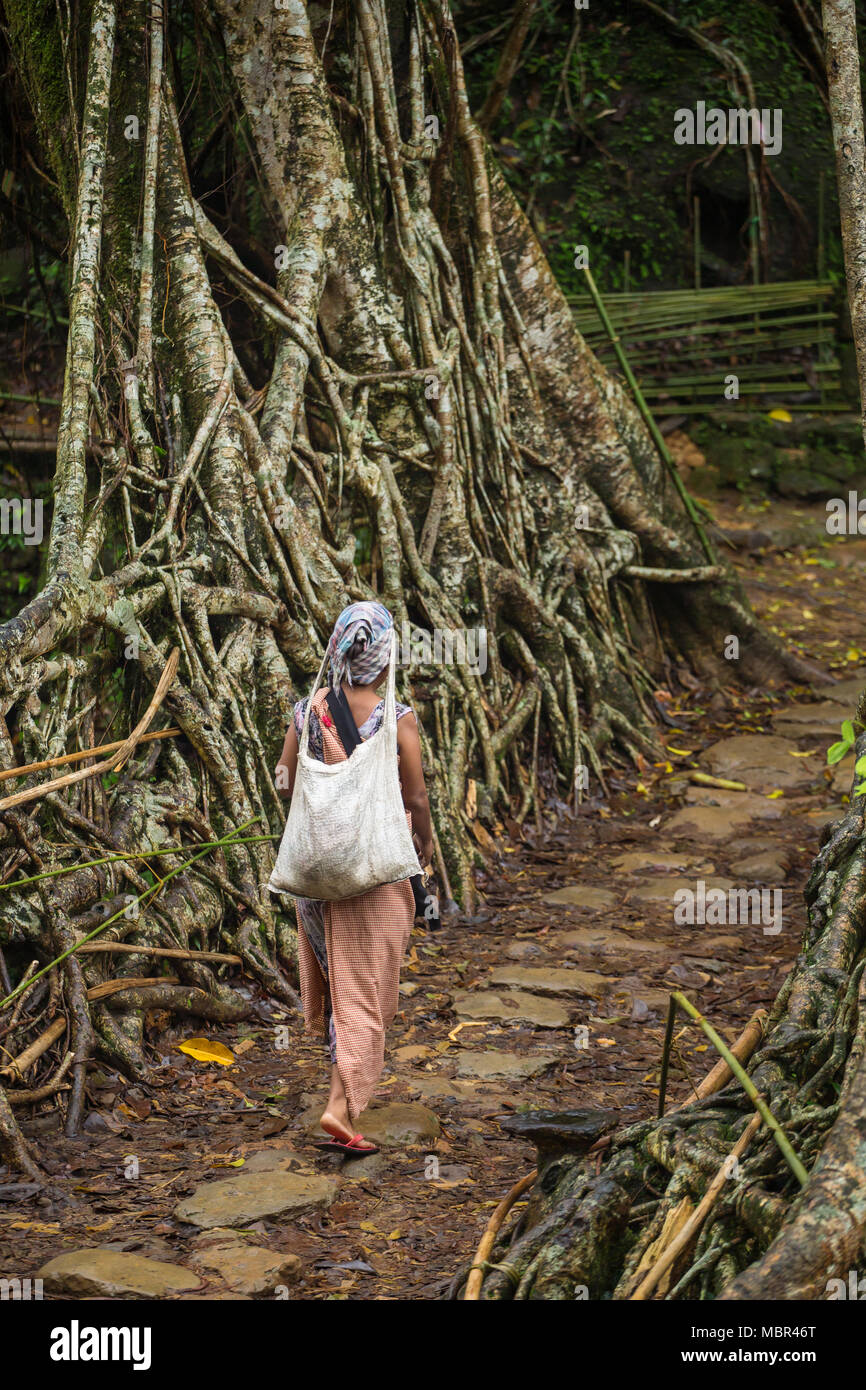 Il Meghalaya, India - 15 Maggio 2017: Khasi della donna dal villaggio Riwai attraversando uno dei famosi radici viventi ponte in nello stato di Meghalaya (India). Questo bri Foto Stock